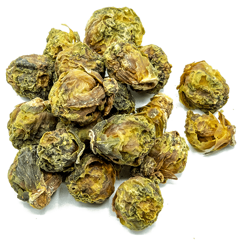 MicroDried dried brussels sprouts fragments, dried brussels sprouts powder, dried whole brussels sprouts